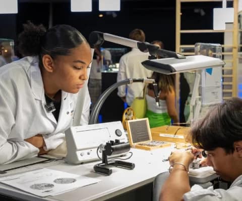 a-propos-cpne-3-480x400